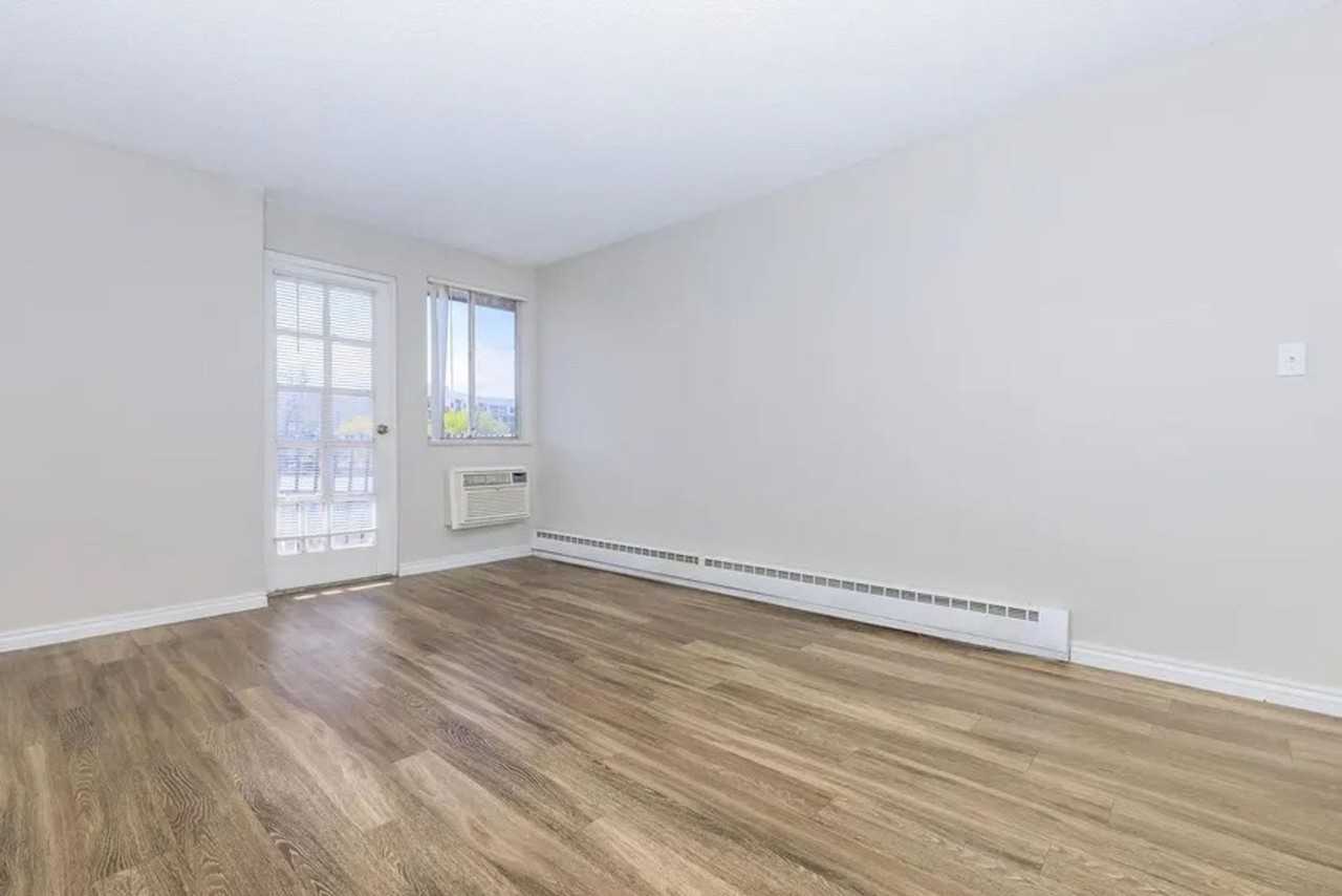 Elm Grove Apartments – Studio & 1 - Photo 7 of 11