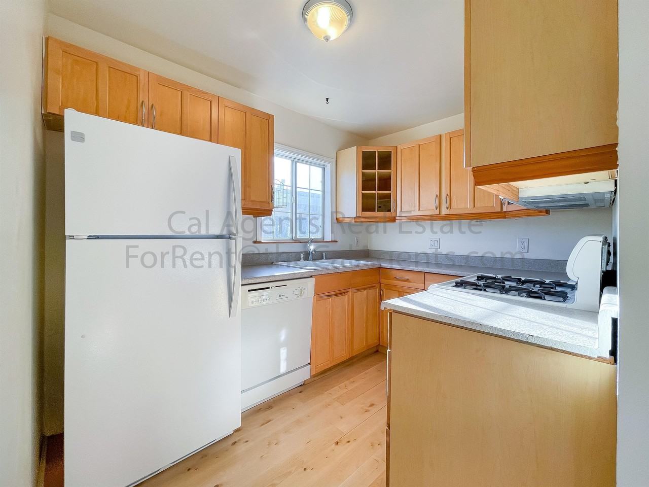 1439 - 1445 Carleton Street - Photo 4 of 14