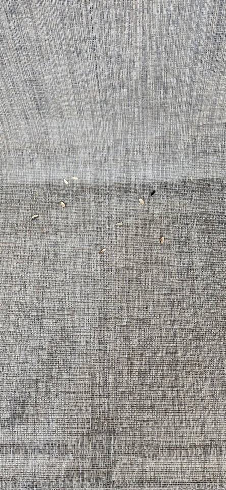 1221 Logan - Photo 2 of 14