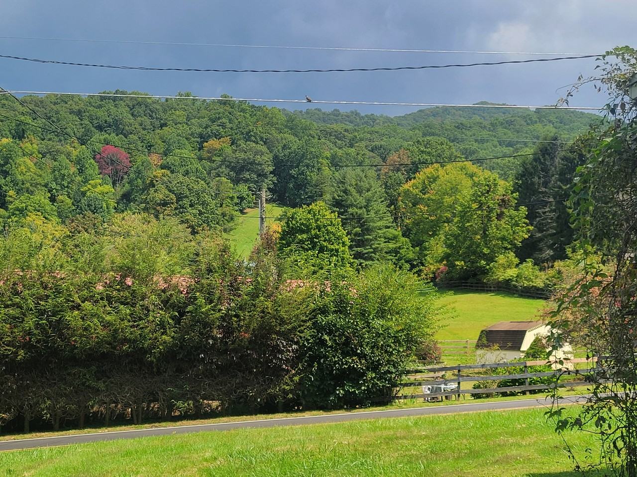 1446 Camp Branch Rd #NA - Photo 7 of 16