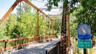 101 Pringle Ave - Photo 1 of 1