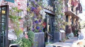 101 Pringle Ave - Photo 1 of 1