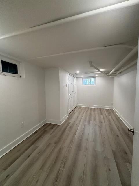 7169 Rue Saint-Dominique #1 - Photo 5 of 10