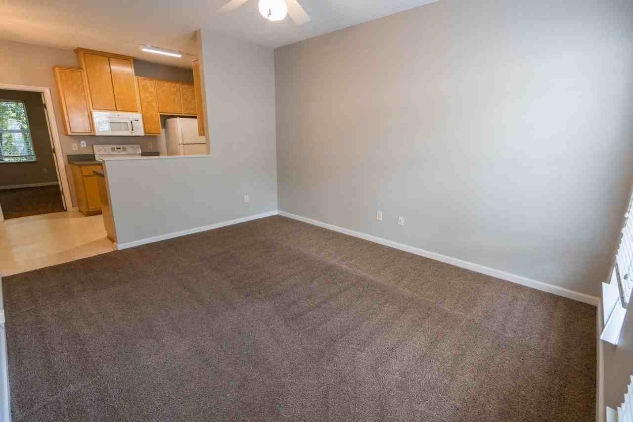3213 Allison Marie Ct - Photo 3 of 36