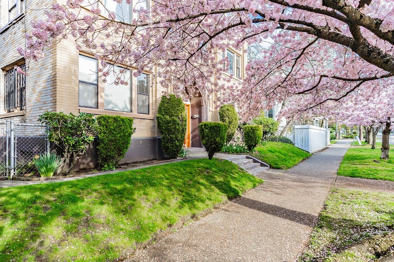 Dixonian - Photo 3 of 6