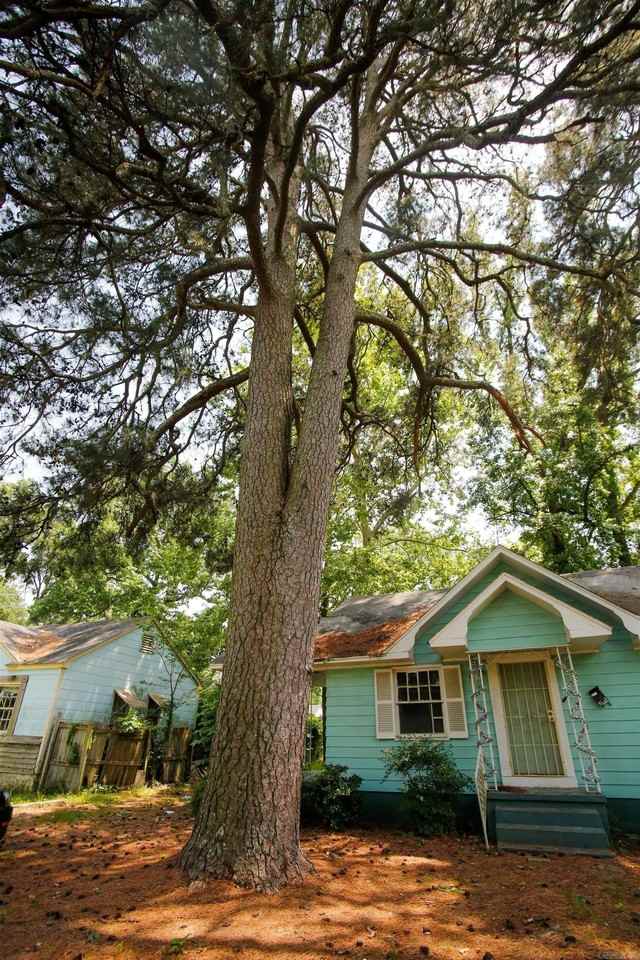 2004 West 24th Avenue - Photo 3 of 16