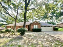 featured image of 18161 Silver Leaf