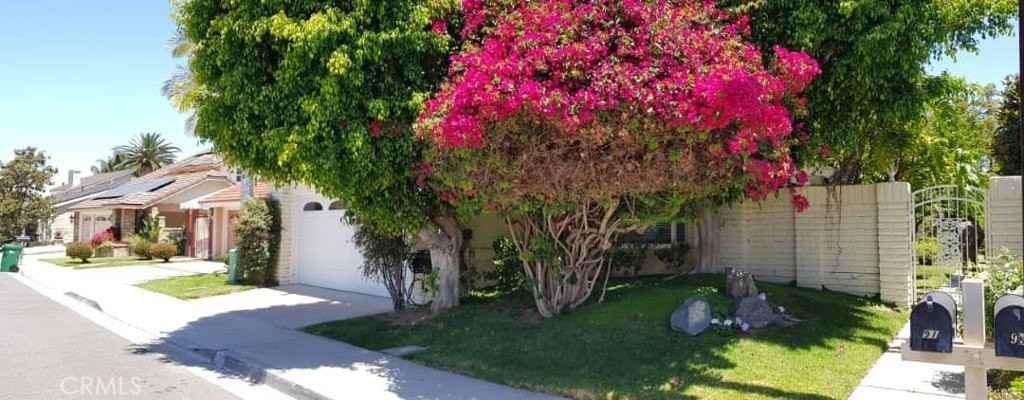 91 Nighthawk - Photo 3 of 23