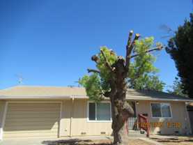 721 Northey Dr - Photo 1 of 1
