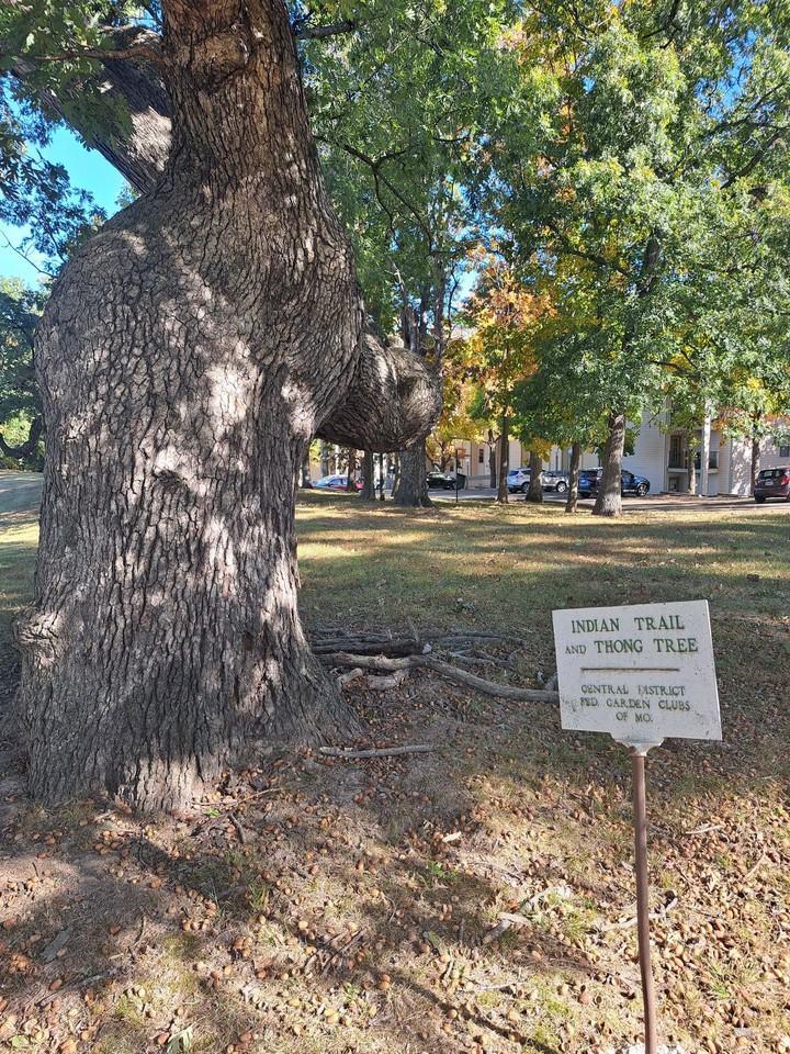 Bent Oak Apartments - Photo 3 of 26