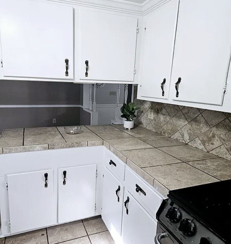 559 N Springlake Cir #NA - Photo 2 of 13