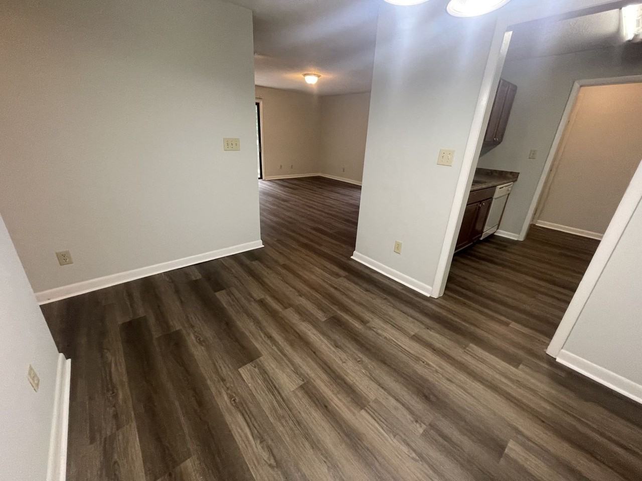 5155 Windy Hill Drive - Photo 5 of 11