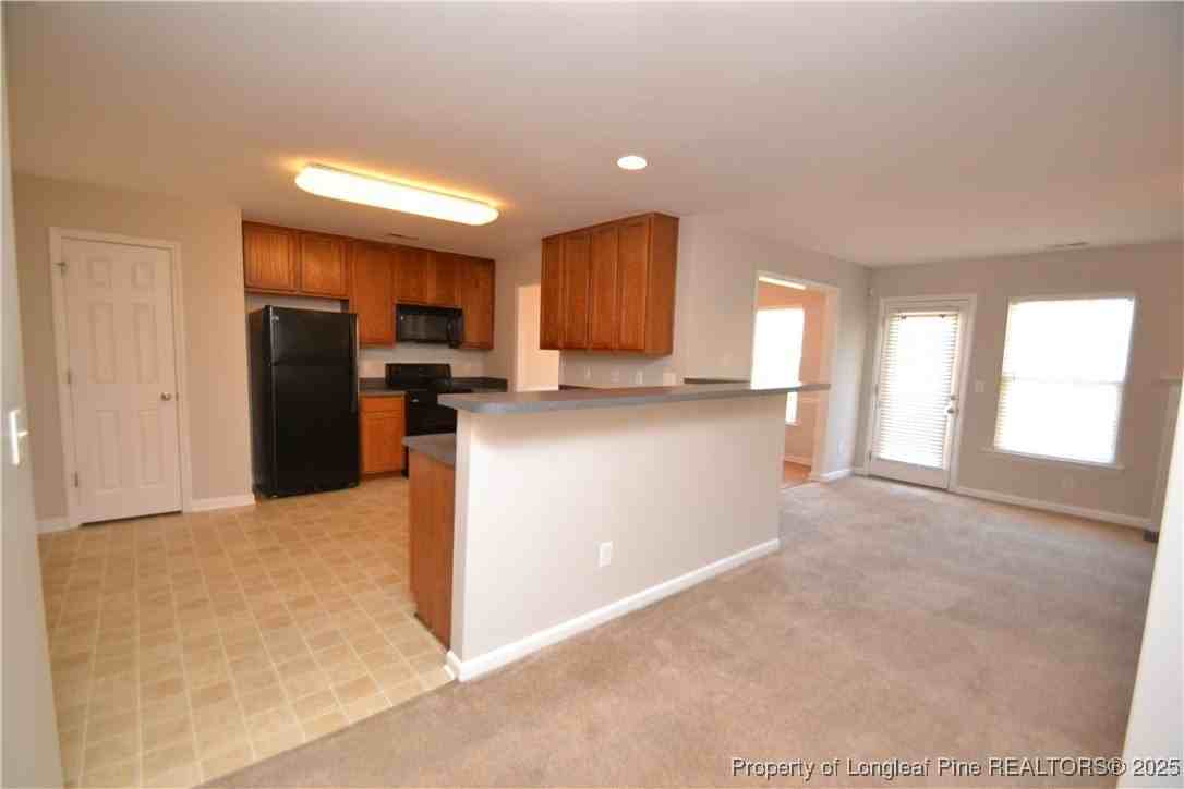 1428 Cricket Ridge Drive - Photo 5 of 47