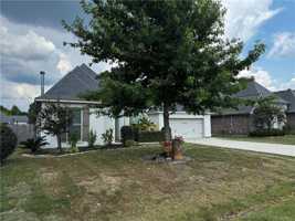 featured image of 1017 Fox Sparrow Loop