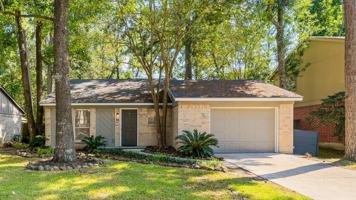 featured image of 81 South Wavy Oak Circle