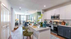 FM1385 & Fishtrap Rd #2302 - Photo 1 of 1