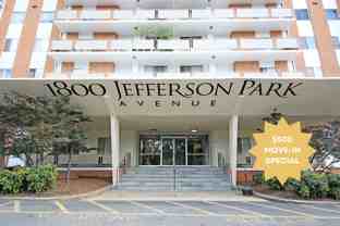 1800 Jefferson Park Ave #302 - Photo 1 of 1
