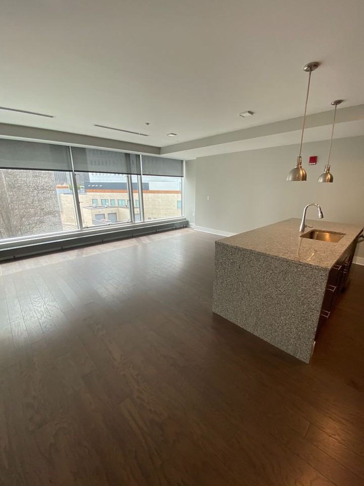 88 on Elm - Photo 4 of 50