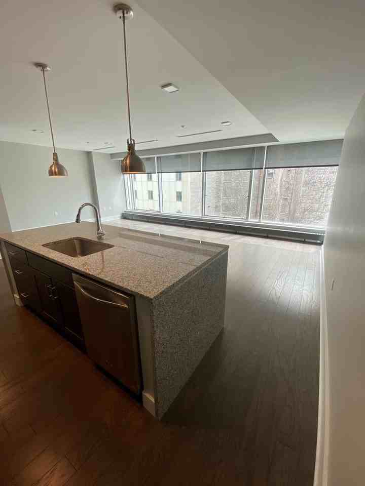 88 on Elm - Photo 6 of 50