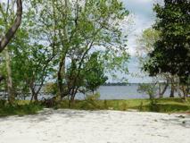 ms706 - Photo 1 of 1