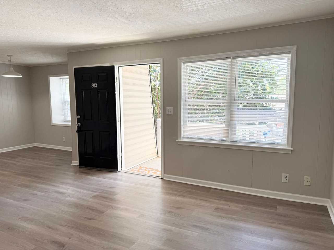 315 Oakland Ave - Photo 6 of 24