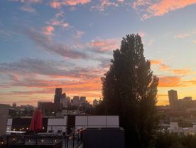 709 15th Ave #C - Photo 1 of 1