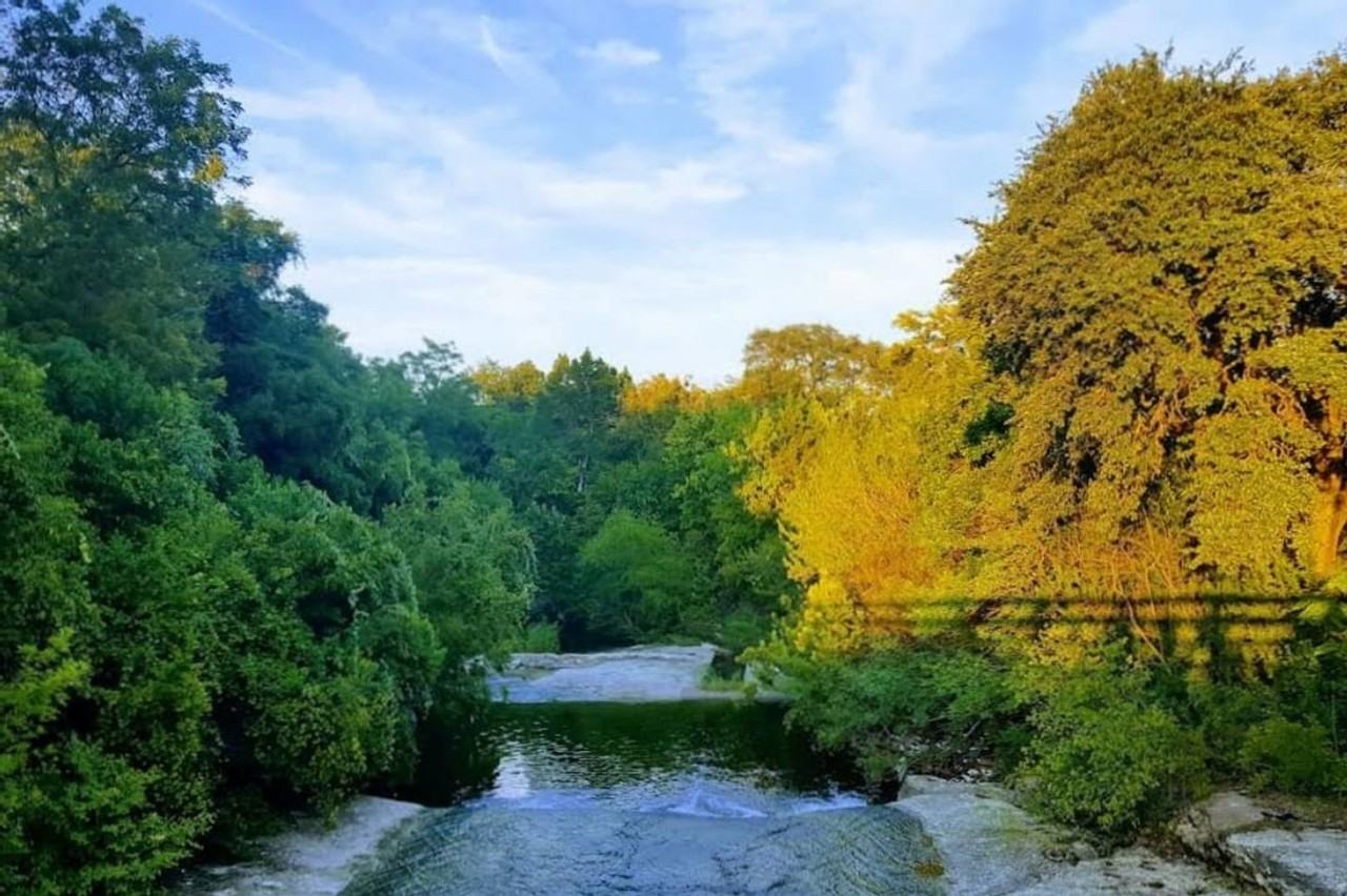 933 Park Plaza - Photo 7 of 30