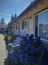 Beavercrest - Photo 1 of 1