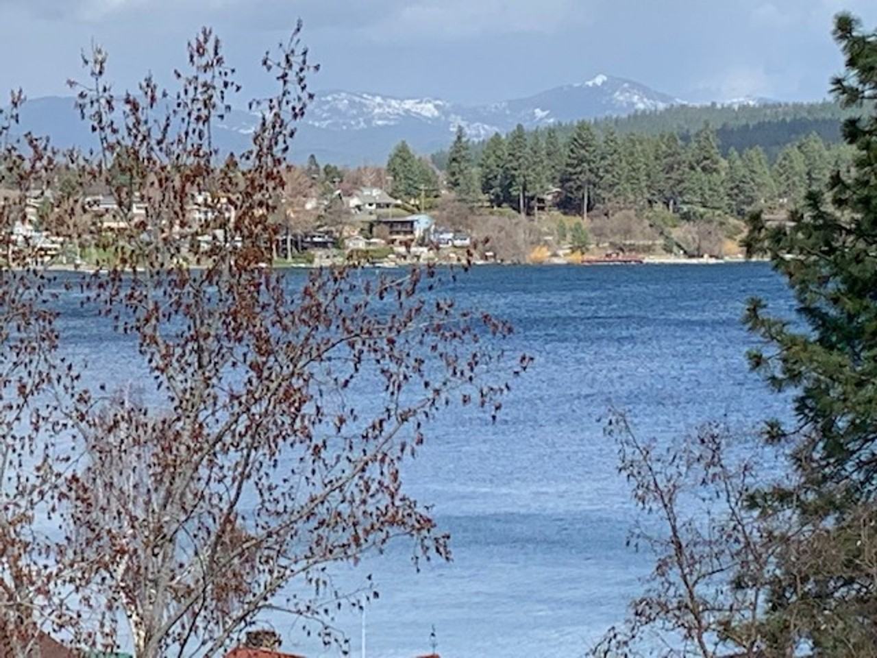 1321 S Wright Blvd - Photo 2 of 16