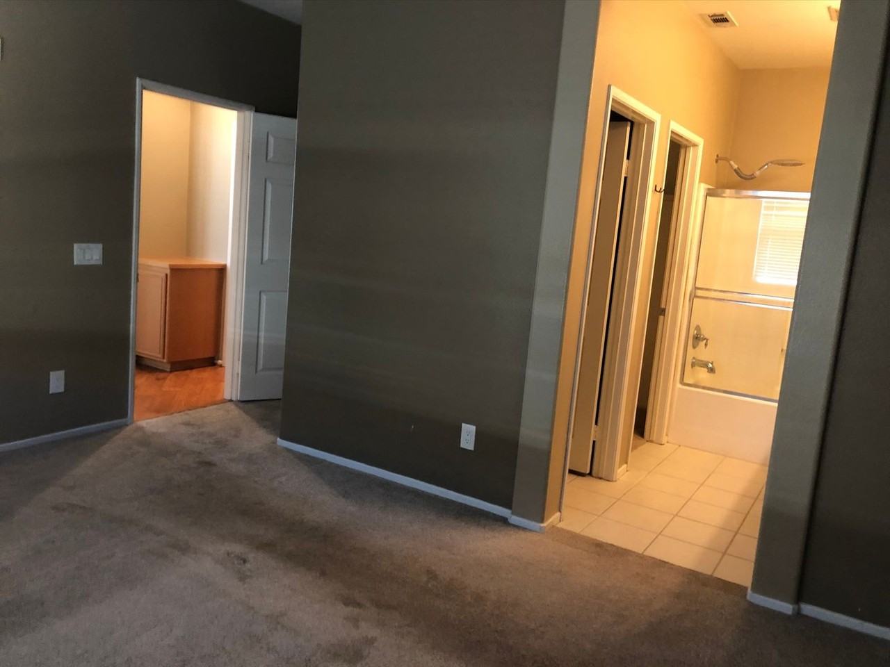 1800 E Lakeshore Dr #2401 - Photo 6 of 19