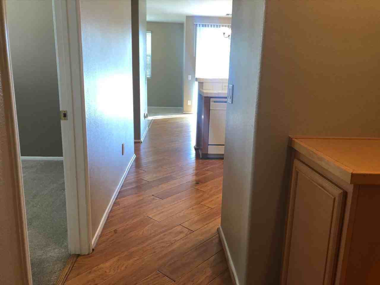 1800 E Lakeshore Dr #2401 - Photo 7 of 19