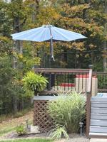 featured image of 266 Sugar Run Ln