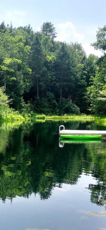 266 Sugar Run Ln - Photo 7 of 16