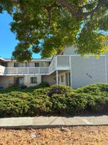 736 Memorial Way #1 - Photo 1 of 1