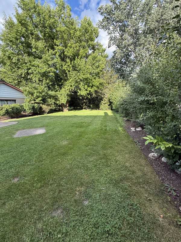 1007 N Gibbons Ave - Photo 3 of 3