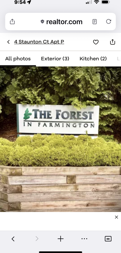 4 Staunton Ct #P - Photo 4 of 25