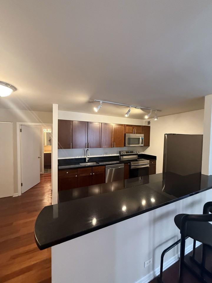 222 E Pearson St #501 - Photo 2 of 8