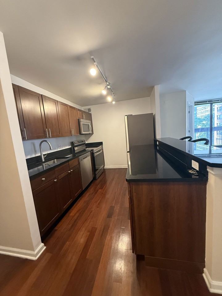 222 E Pearson St #501 - Photo 3 of 8