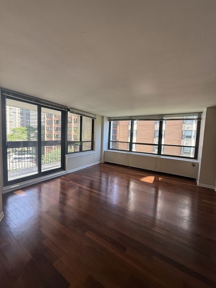 222 E Pearson St #501 - Photo 4 of 8
