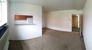 gross - Photo 1 of 1