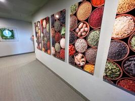 featured image of 6 Spice Way