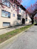 1728 Yew Street #6 - Photo 1 of 1