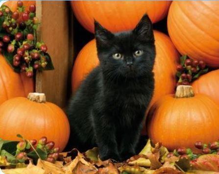 1601 S Lane St - Photo 3 of 31