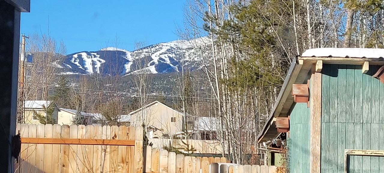 716 Edgewood Pl - Photo 4 of 18