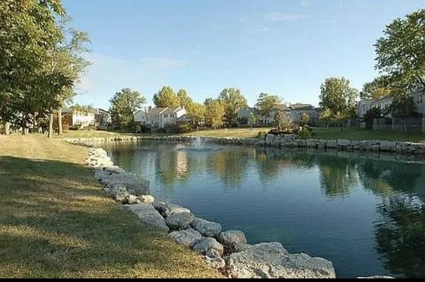 10939 Barrington Ct - Photo 3 of 16