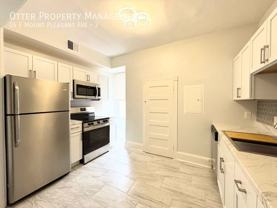 24 E Mount Pleasant Ave #3 - Photo 1 of 1