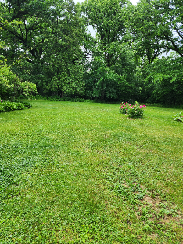 28W370 Batavia Rd #BACK - Photo 2 of 7