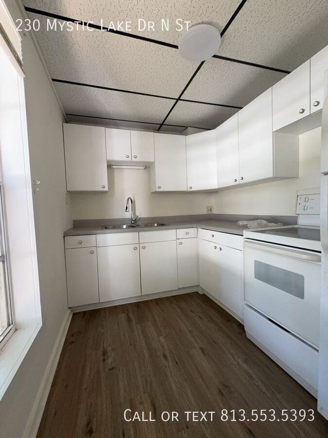 230 Mystic Lake Dr N - Photo 3 of 25