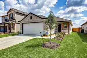 featured image of 10658 Red Orchid Dr