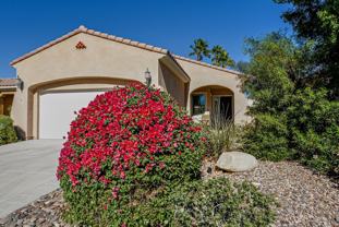 81654 Avenida Alturas - Photo 1 of 1
